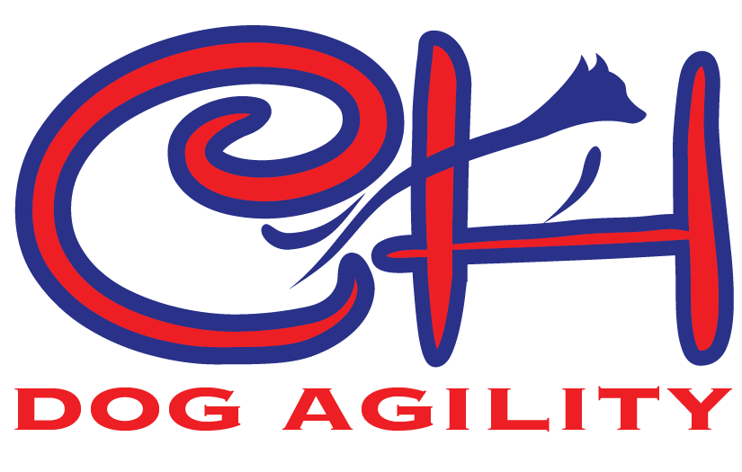 Home | Cynthia Hornor Dog Agility